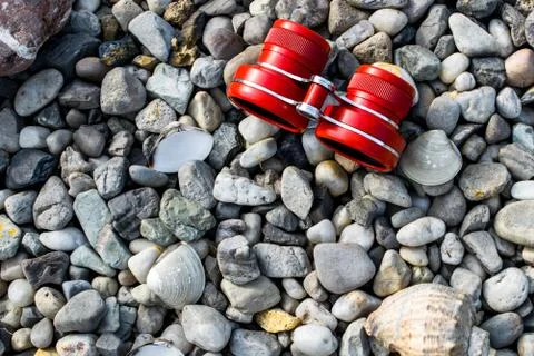 Pebble beach with shells Stock Photos