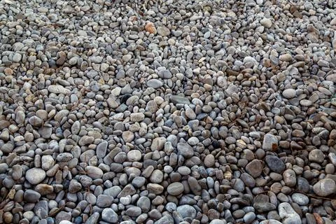 Pebble beach surface with rounded stones and natural texture 스톡 사진
