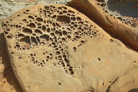 Pebble beach tafoni formations at bean hollow state beach in california Stock Photos