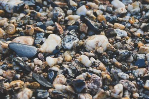 Pebble beach texture close up 스톡 사진