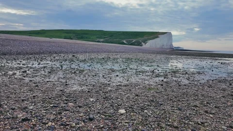 Pebble Beach Walk with Distant White Cliffs and Washed-Up Seaweed Stock Footage 309767286
