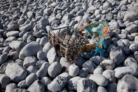 Pebble close up Stock Photos