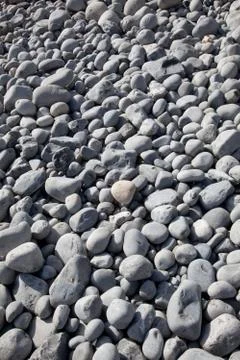 Pebble close up Stock Photos