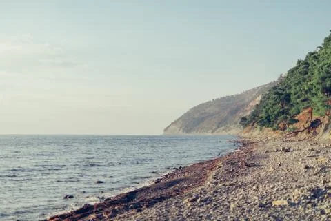 Pebble coastline Stock Photos