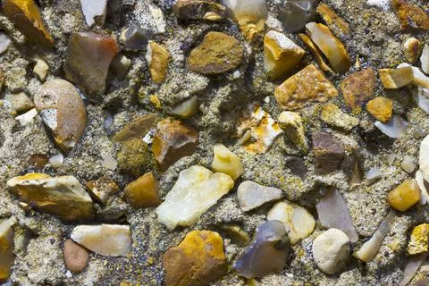 Pebble Dash Texture on an External Wall in Macro 스톡 사진