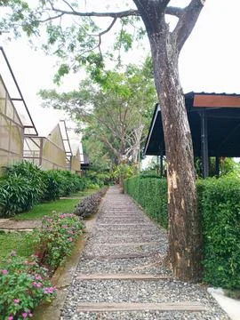 Pebble Garden Path Surrounded By Lush Greenery Stock Photos