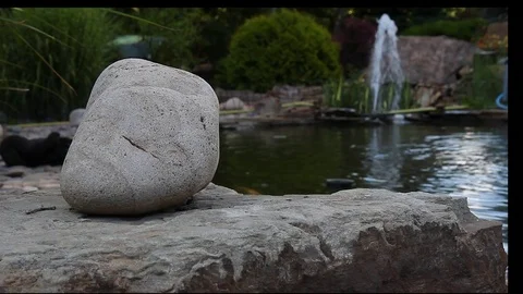 Pebble near the pool 库存影片 78157417