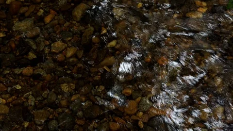 Pebble Paved Shallow Mountain stream 動画素材 90684876