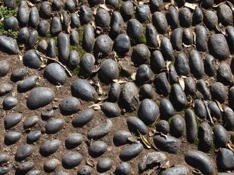 Pebble paving Stock Photos