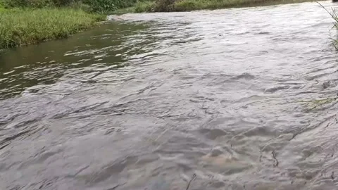 Pebble River - Close Shot Video stock 238800650