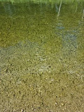 Pebble riverbed under clear water of Stara Drava Varazdin Croatia Stock Photos
