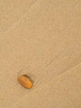 Pebble in the sand Stock Photos