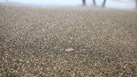 Pebble on a sandy beach near the surf line, sea view Stock Footage 77044152