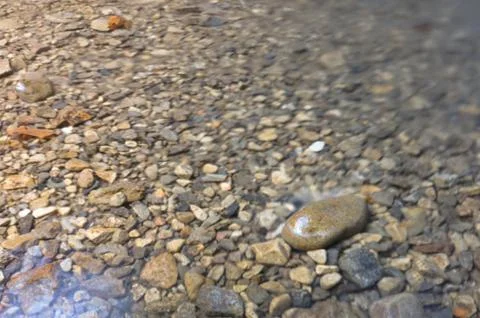 Pebble in shallow pond Stock Photos
