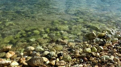 Pebble in shallow water Video stock 59755202