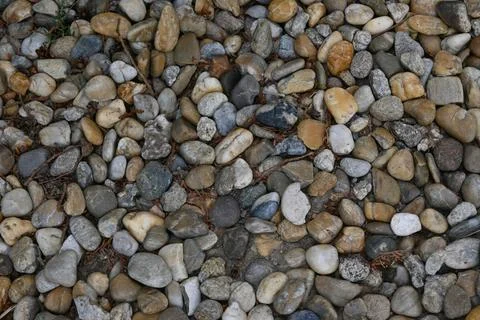 Pebble stone background Photos