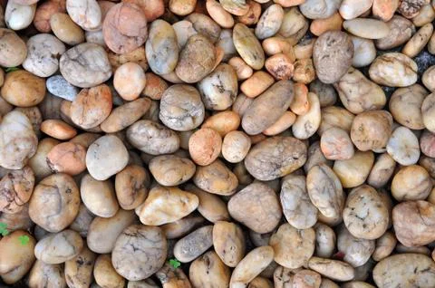 Pebble stone Stock Photos