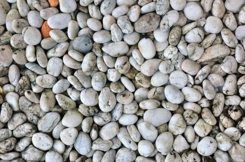 Pebble stone Stock Photos