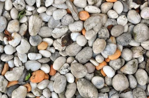 Pebble stone Stock Photos