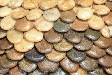 Pebble stone Stock Photos