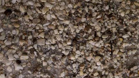 Pebble stone texture. Suitable for background Stock Photos