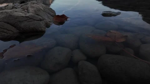Pebble stone under shallow clear lake water, autumn Swiss maple leaf floating Video stock 313917145