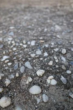 Pebble texture embedded in concrete creates a visually interesting surface Stock Photos