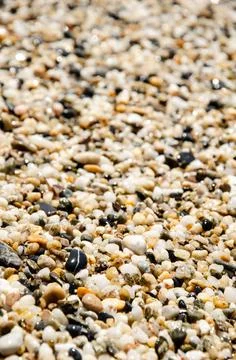 Pebble texture. Natural background concept. Surface of the rocky beach. Stock Photos