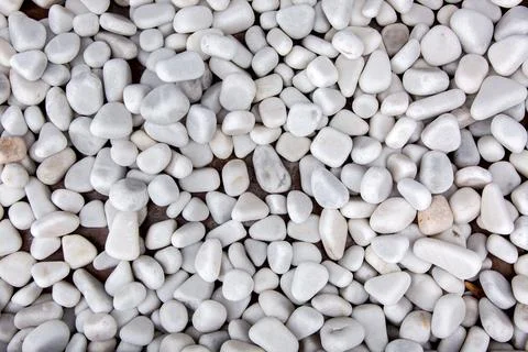 Pebble texture white smooth round stone top view close up. Stock Photos