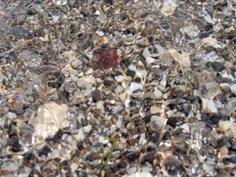 Pebble through water Stock Photos