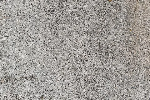 Pebble wall texture small stone detail sharp copy space for text background Stock Photos