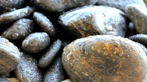 Pebble with water drops Stock Footage 11341059