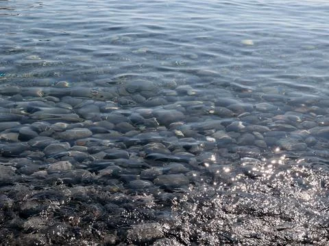 Pebble with water Stock-Fotos