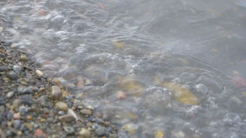 Pebbled Beach with Tide Coming in, Summer in Longyearbyen, Svalbard 4K Footage Stock Footage 94486290