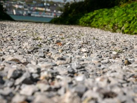 Pebbled path with blurred harbor background Фото