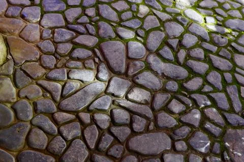 Pebbled stone path Foto stock