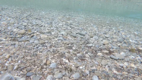 PebbleDriftEmerge2White1 Stock-Footage 257560482