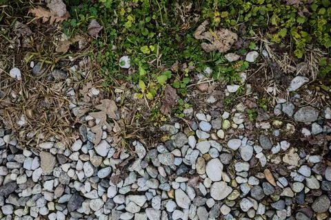 Pebbles and grass Stock Photos