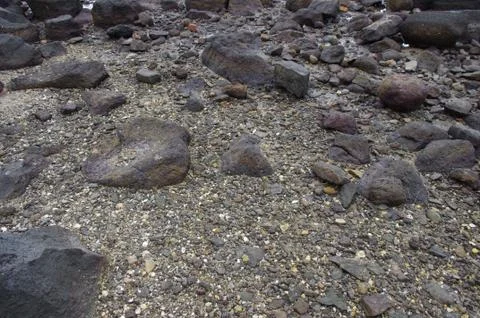 Pebbles and rocks at a beach Stock Photos