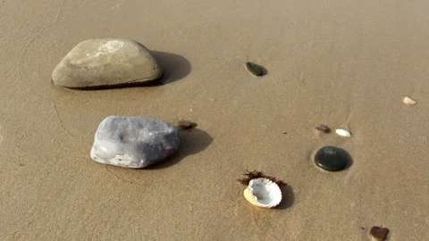 Pebbles and Sea-Shells Stock Footage 208862378