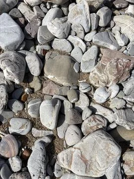 Pebbles and Shells on the Beach Stock Photos