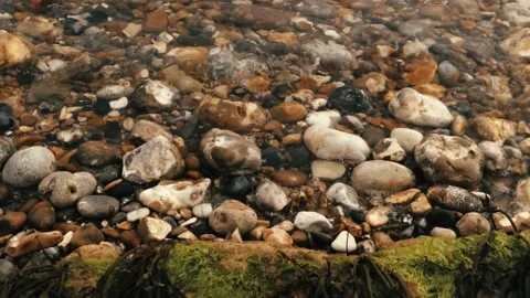 Pebbles and tide lapping Stock Footage