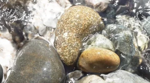 Pebbles and water Stock Footage
