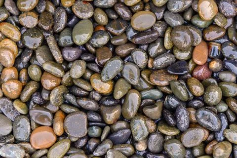 Pebbles be wet on the ground, background.. Stock-Fotos