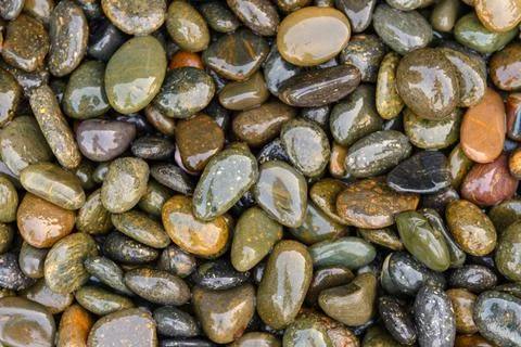 Pebbles be wet on the ground, background.. Stock-Fotos