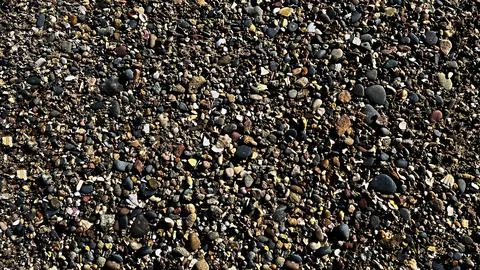 Pebbles on the beach as an abstract background. Texture. Stock Photos