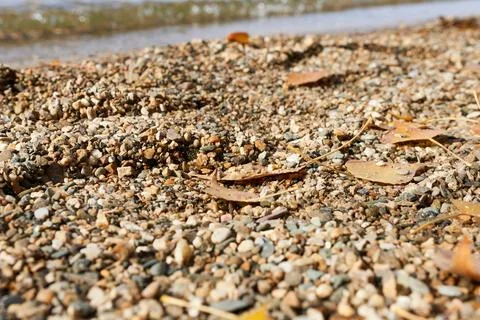 Pebbles on the beach in autumn, note shallow depth of field Stock Photos