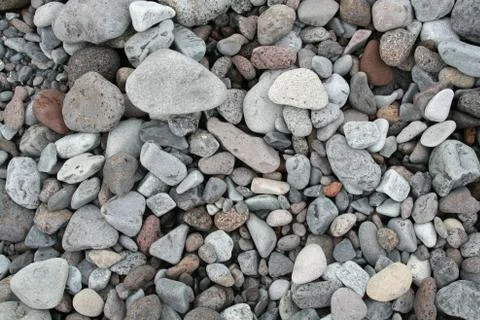 Pebbles on the beach - closeup Stock Photos