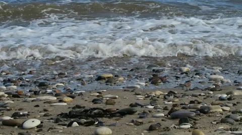 Pebbles on beach Stock Footage 49290795