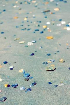 Pebbles on the beach Stock Photos